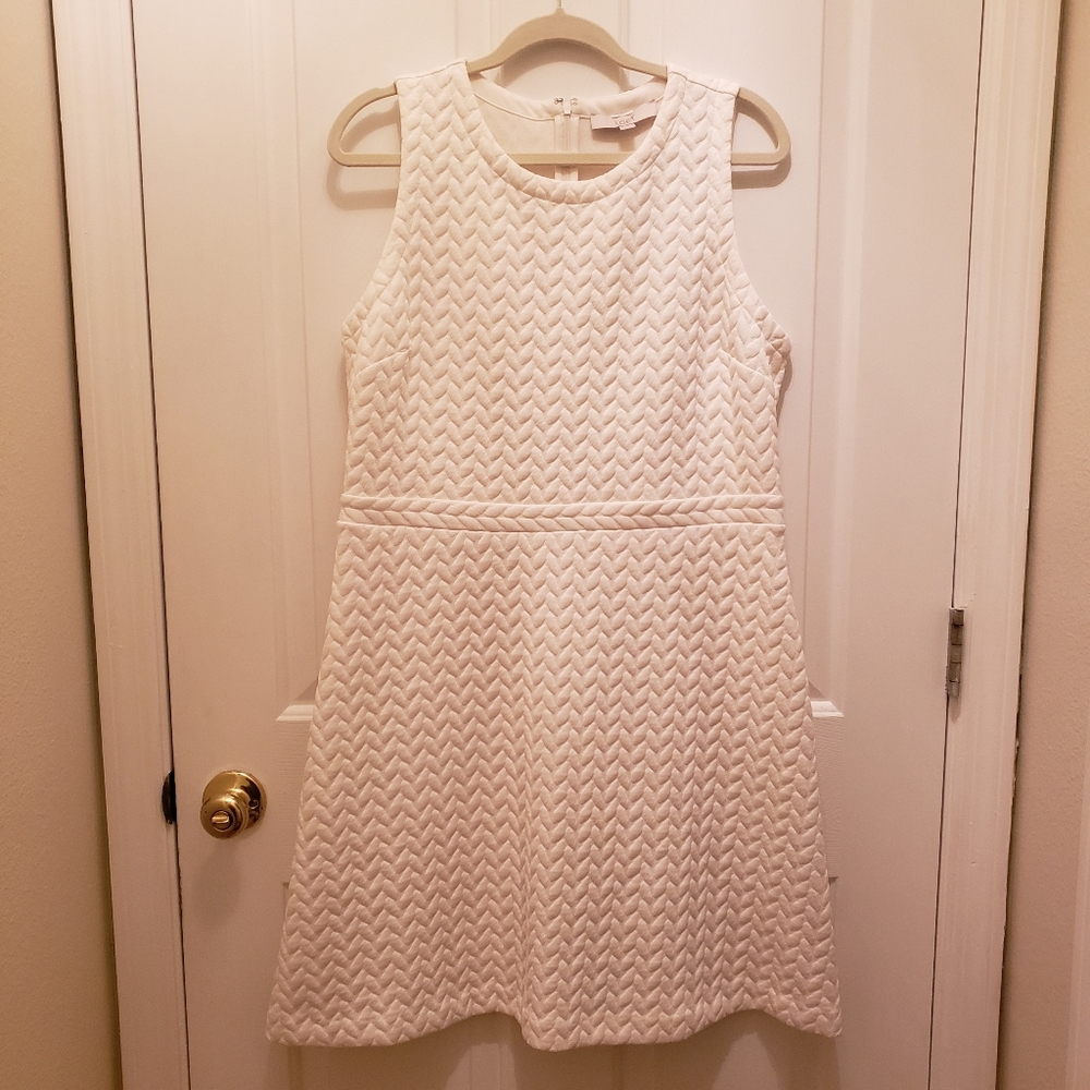 NWT Loft Dress